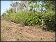 fotos842.18haMT (30).jpg