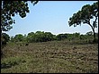 fotos842.18haMT (33).jpg