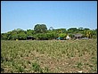 fotos842.18haMT (35).jpg