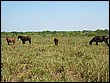 fotos842.18haMT (37).jpg