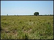 fotos842.18haMT (38).jpg