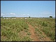 fotos842.18haMT (41).jpg