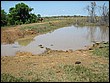 fotos842.18haMT (42).jpg