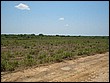 fotos842.18haMT (44).jpg