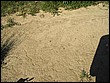 fotos842.18haMT (5).jpg