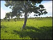 fotos842.18haMT (6).jpg