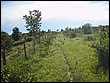 fotos842.18haMT (8).jpg