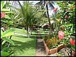 jardim3g.JPG