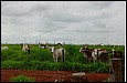 scan0005.jpg