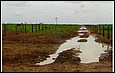 scan0008.jpg