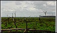 scan0010.jpg