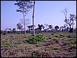 P3260141.JPG