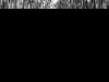 PICT0044v4.JPG (49315 bytes)