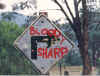 Sharp.jpg (70470 bytes)