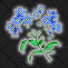 Forget-Me-Not-Alaska