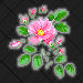 Wild Rose-N.Dakota