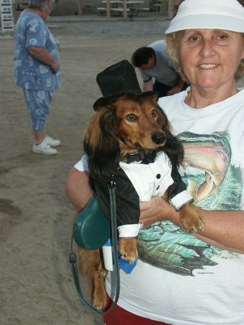 Posing For The Cameras - What a HAM!!