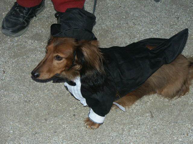Struttin Hist Stuff As Fred Astair