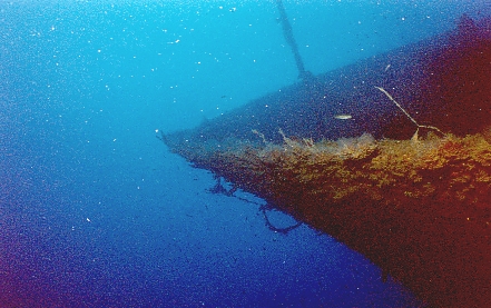 Zenobia3.jpg (135785 bytes)