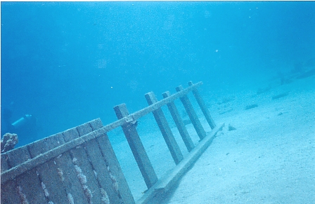 Eilat5.jpg (113506 bytes)