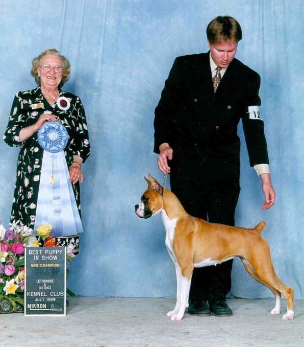Dixie1.jpg (66784 bytes)