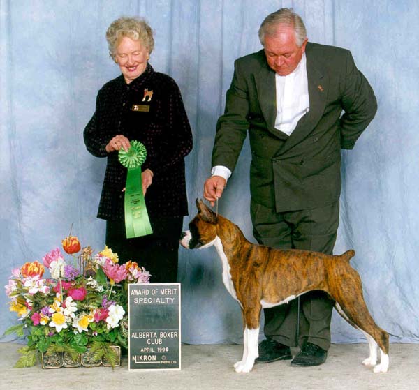 Nickie1.jpg (61663 bytes)
