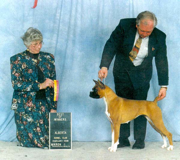 Sasha1.jpg (67976 bytes)