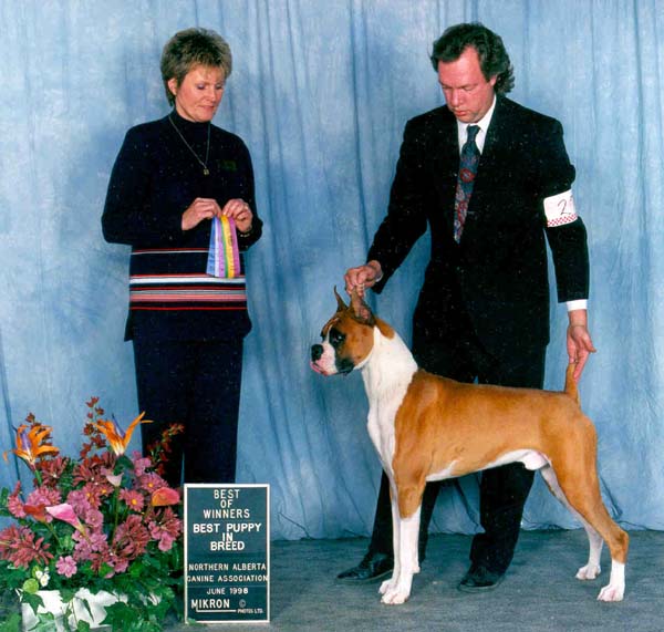 Sullivan1.jpg (65331 bytes)