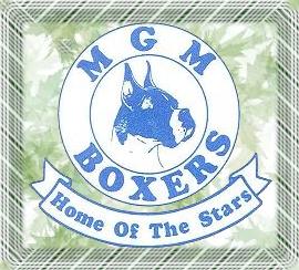 MGM Logo
