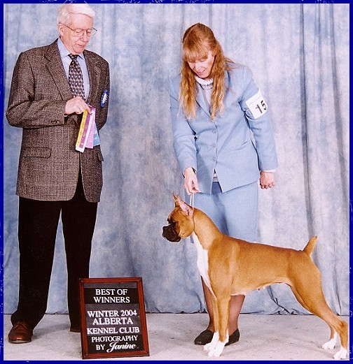 Champion MGM's The Innocent of Scottfree