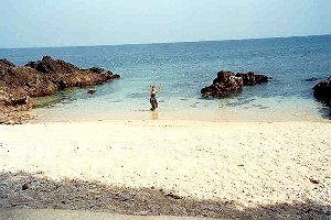 Beach behind the Deluxe chalets