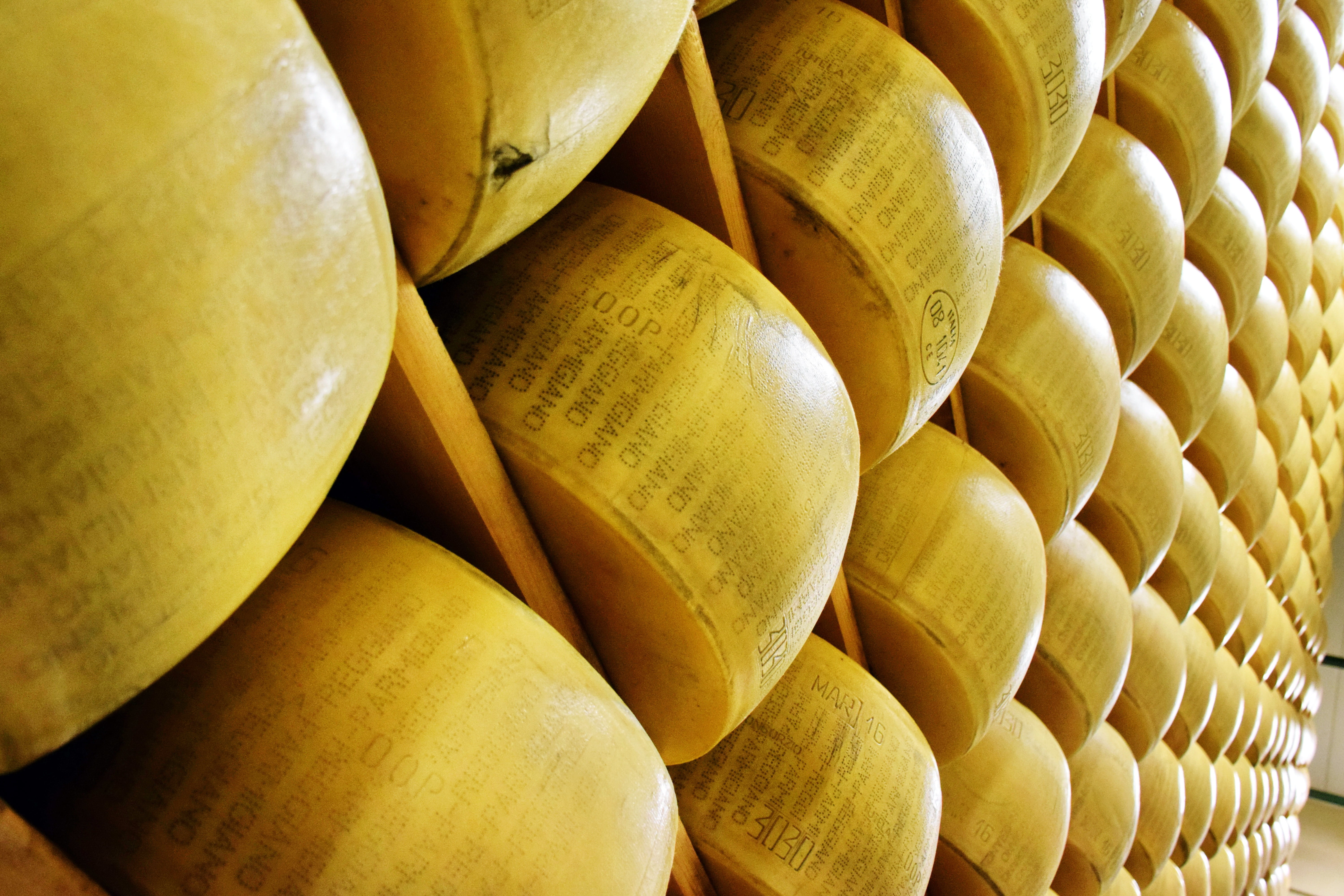 Cheese