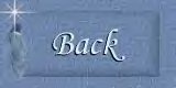 Back Button