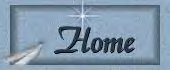 Home Button