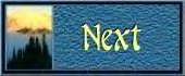 Next Button