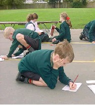 Room 8 Spelling Activities