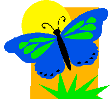 butterfly