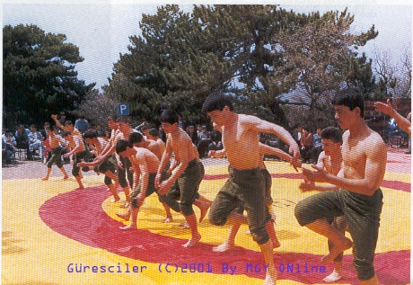 guresciler.jpg (282142 bytes)
