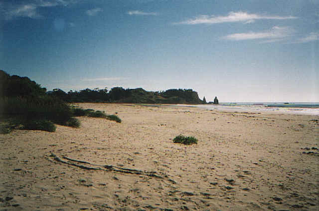 Huriawa peninsula - Karitane