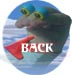 Back ! Back I say!
