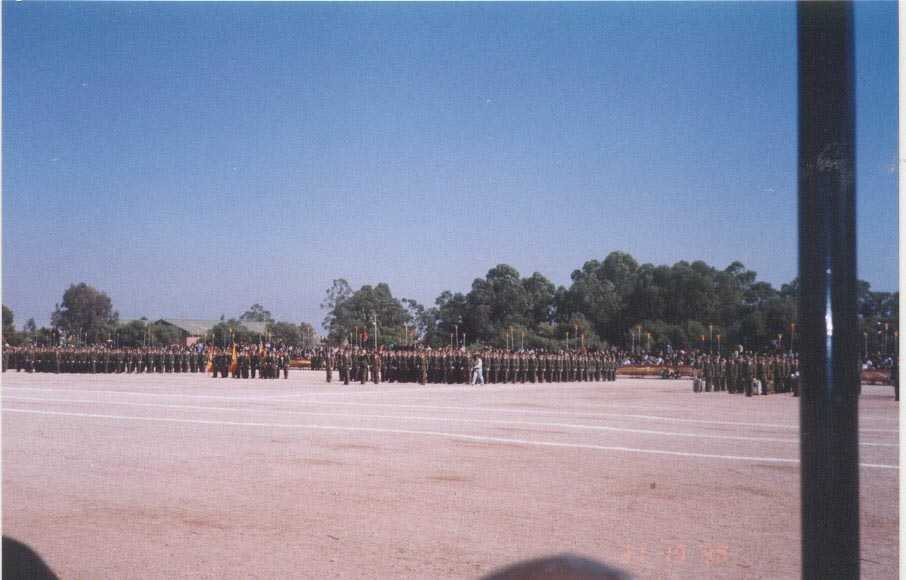 Formacion en Rabasa