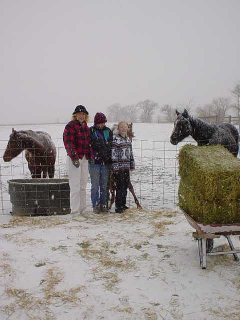click here to see more pics of our animals