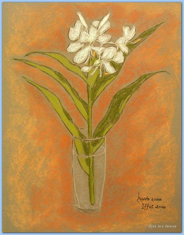 iad.08