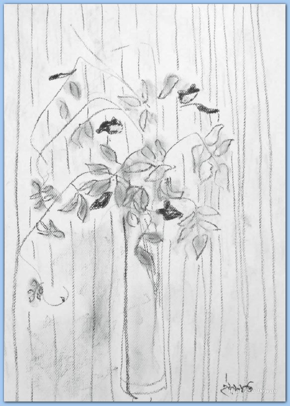 iad.11