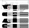Thumbnail of Vader ANH sabre linked to full size blueprint