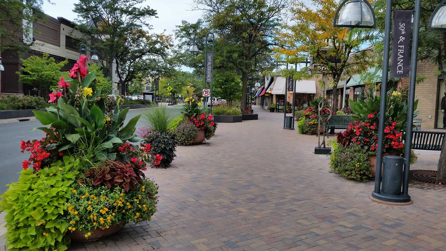 hardscape