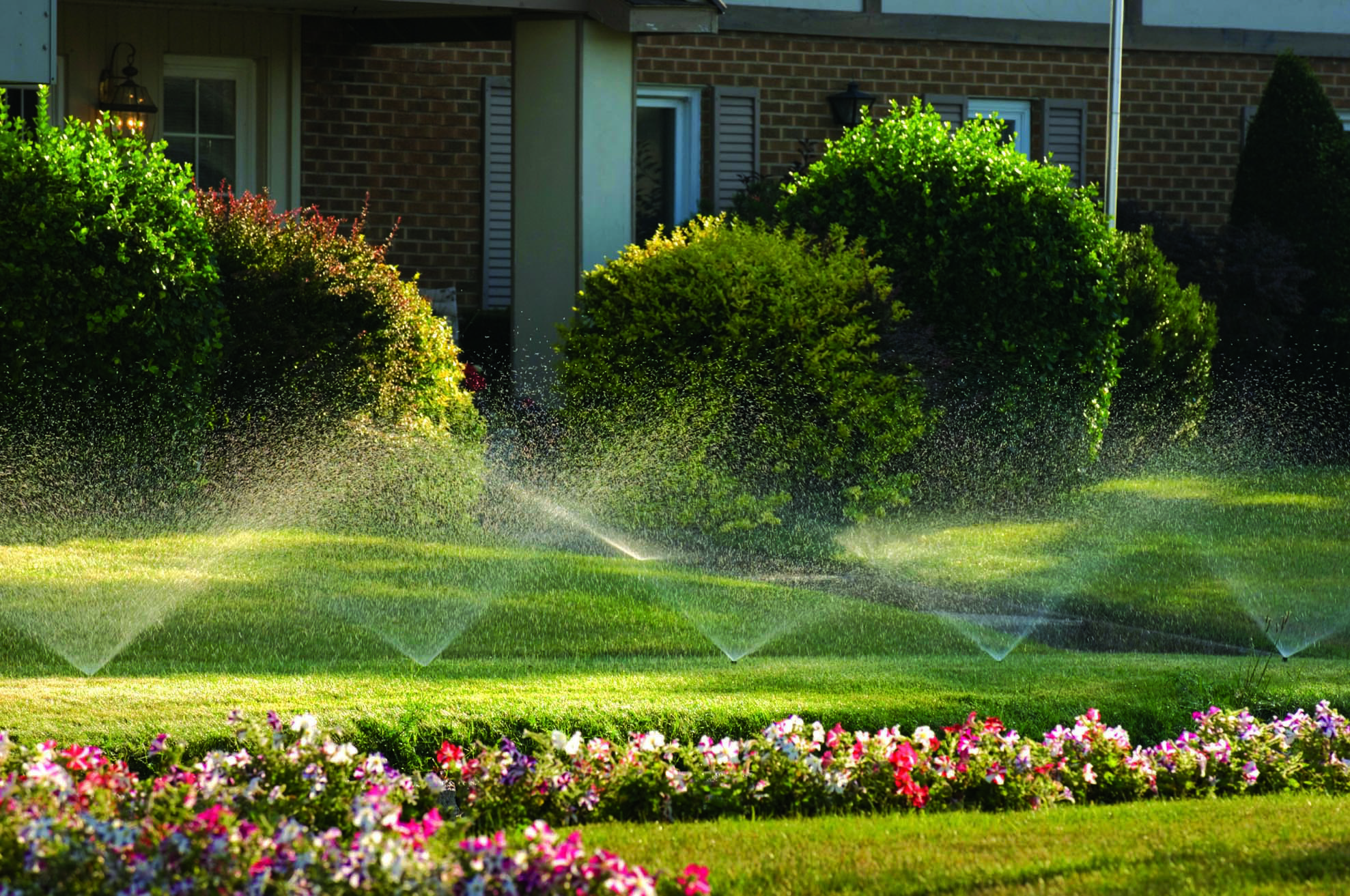 irrigation