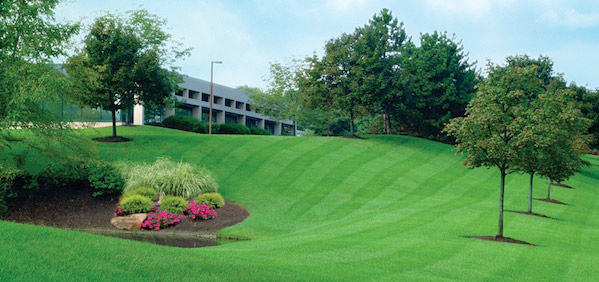 lawnbed