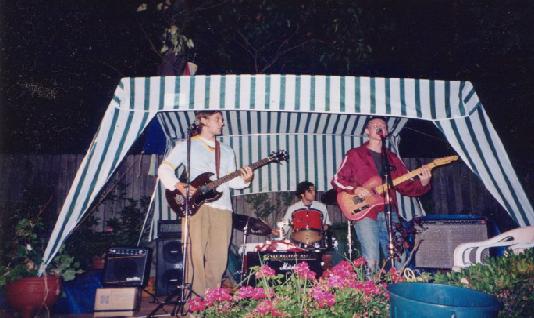 an early vines gig in their back garden (1997)
