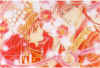 mangamarriage.jpg (91704 bytes)